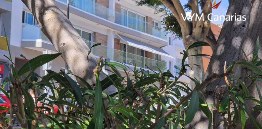 Wohnung in Adeje, Tenerife, Spanien 3 Schlafzimmer, 98 m2 Nr. 164402