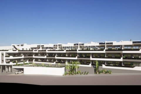 Lägenhet till salu i Benijofar, Alicante, Spanien 4 sovrum, 76 kvm. Nr. 105855 - foto 3