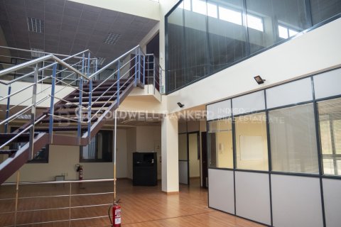 Lokal usługowy w Vigo, Pontevedra, Hiszpania 549 mkw. nr 156809 – zdjęcie 24