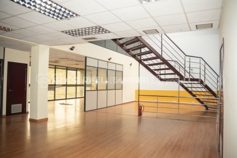 Liikekiinteistö myytävänä Vigo, Pontevedra, Espanja , 549 m2 No. 156809 - kuva 28