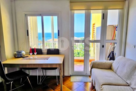 Wohnung zum Verkauf in Adeje, Tenerife, Spanien 1 Schlafzimmer, 45 m2 Nr. 160571 - Foto 7