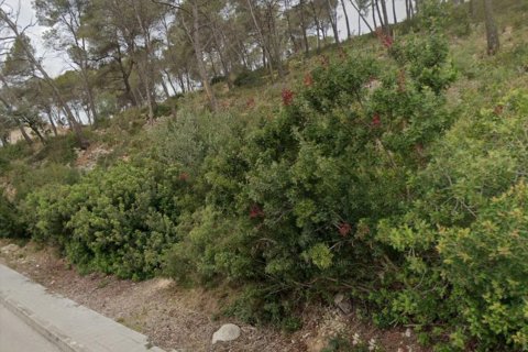 Terreno a Olivella, Barcelona, Spagna N° 191232
