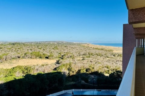 Apartment à vendre à La Mata, Alicante, Espagne, 3 chambres, 135 m2 No. 151803 - photo 11