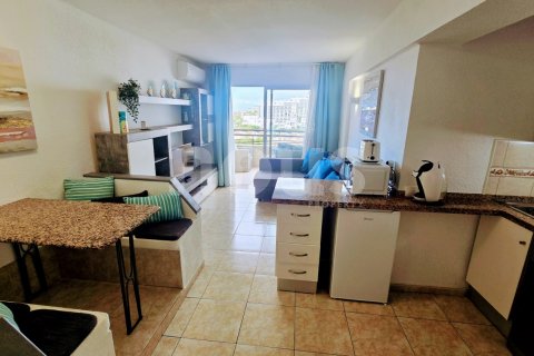 Apartament w Tenerife, Hiszpania 34 mkw. nr 149859 – zdjęcie 6