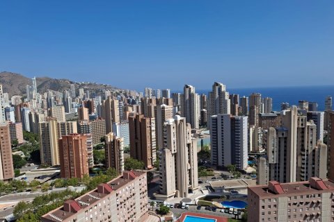 Apartamento en venta en Benidorm, Alicante, España 136 m2 No. 193019 - foto 18
