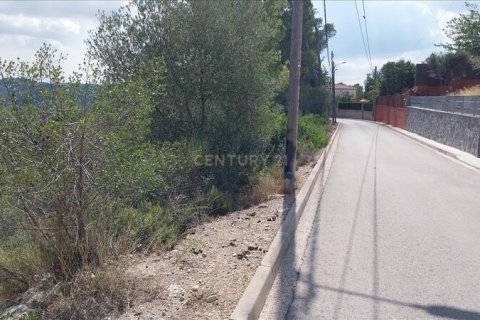 Tontti myytävänä Viladecavalls, Barcelona, Espanja , No. 186485 - kuva 3