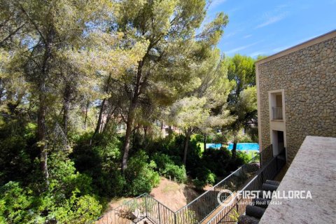 Villa īrēšanai Santa Ponsa, Mallorca, Spānijā 4 istabas, 158 m2 Nr. 181955 - attēls 24