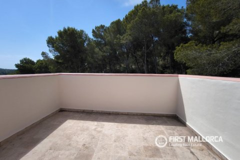 Villa īrēšanai Santa Ponsa, Mallorca, Spānijā 4 istabas, 158 m2 Nr. 181955 - attēls 26