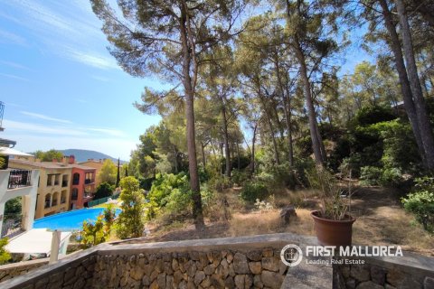 Villa īrēšanai Santa Ponsa, Mallorca, Spānijā 4 istabas, 158 m2 Nr. 181955 - attēls 25