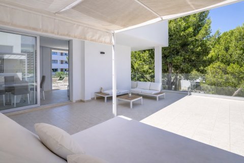 Apartament w Palmanova, Mallorca, Hiszpania 3 sypialnie, nr 181950 – zdjęcie 7