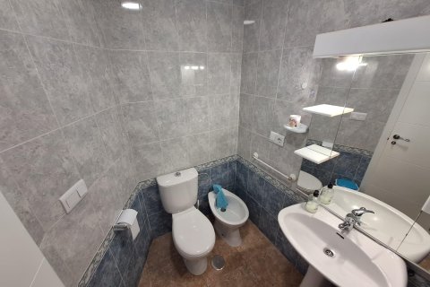 Appartamento in affitto a Torrevieja, Alicante, Spagna 1 camera da letto, 57 mq. N° 150055 - foto 12