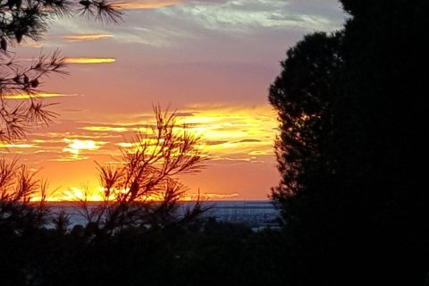 Сasa en venta en Castelldefels, Barcelona, España 9 dormitorios, 653 m2 No. 164802 - foto 28