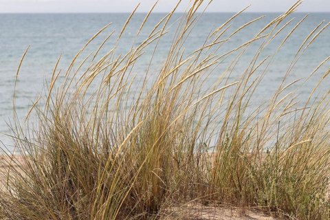 Appartamento in vendita a Gava, Barcelona, Spagna 3 camere da letto, 127 mq. N° 164805 - foto 20