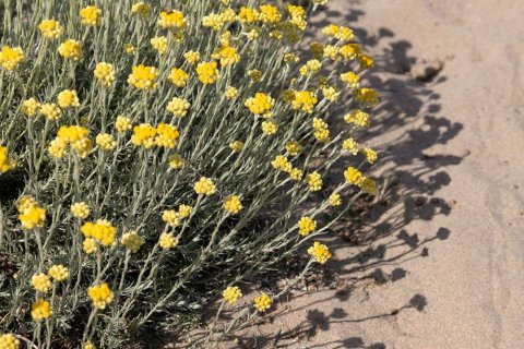 Appartamento in vendita a Gava, Barcelona, Spagna 3 camere da letto, 127 mq. N° 164805 - foto 19