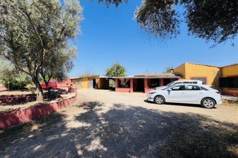 House for sale Algaida, Mallorca, Spain 2 bedrooms, 80 sq.m. No. 119644 - photo 11