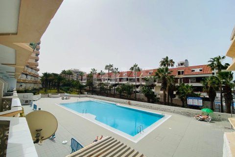Apartment à vendre Arona, Tenerife, Espagne, 1 chambre, 42 m2 No. 119641 - photo 14