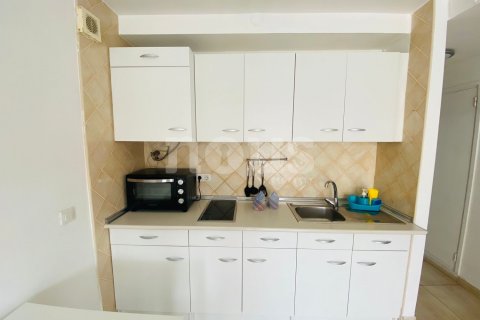 Apartment à vendre Arona, Tenerife, Espagne, 1 chambre, 42 m2 No. 119641 - photo 6