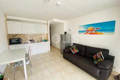 Apartment à vendre Arona, Tenerife, Espagne, 1 chambre, 42 m2 No. 119641 - photo 4