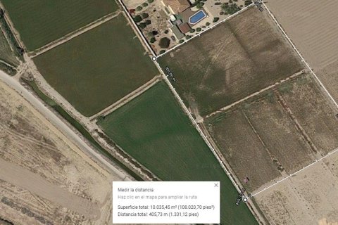 Land in Catral, Alicante, Spanien Nr. 182783