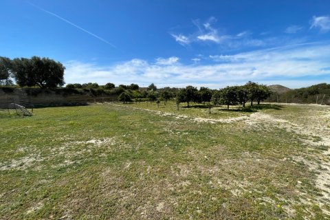 Villa in vendita a Guardamar del Segura, Alicante, Spagna 3 camere da letto, 180 mq. N° 147371 - foto 29