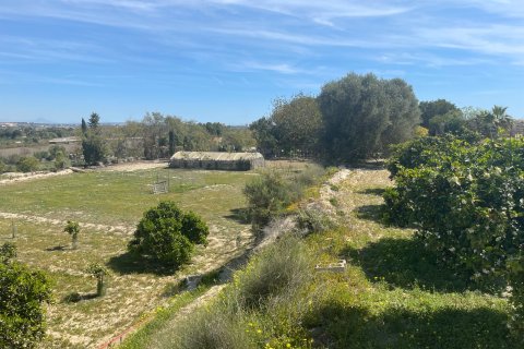 Villa in vendita a Guardamar del Segura, Alicante, Spagna 3 camere da letto, 180 mq. N° 147371 - foto 12