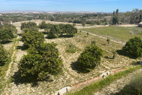 Villa in vendita a Guardamar del Segura, Alicante, Spagna 3 camere da letto, 180 mq. N° 147371 - foto 3