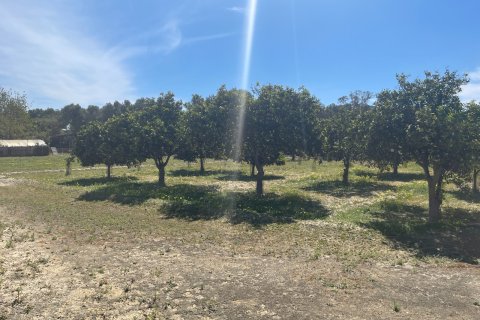 Villa in vendita a Guardamar del Segura, Alicante, Spagna 3 camere da letto, 180 mq. N° 147371 - foto 13