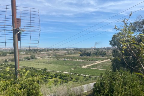 Villa in vendita a Guardamar del Segura, Alicante, Spagna 3 camere da letto, 180 mq. N° 147371 - foto 18