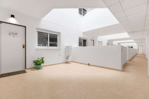Apartament w Orihuela, Alicante, Hiszpania 2 sypialnie, 71 mkw. nr 182397 – zdjęcie 14