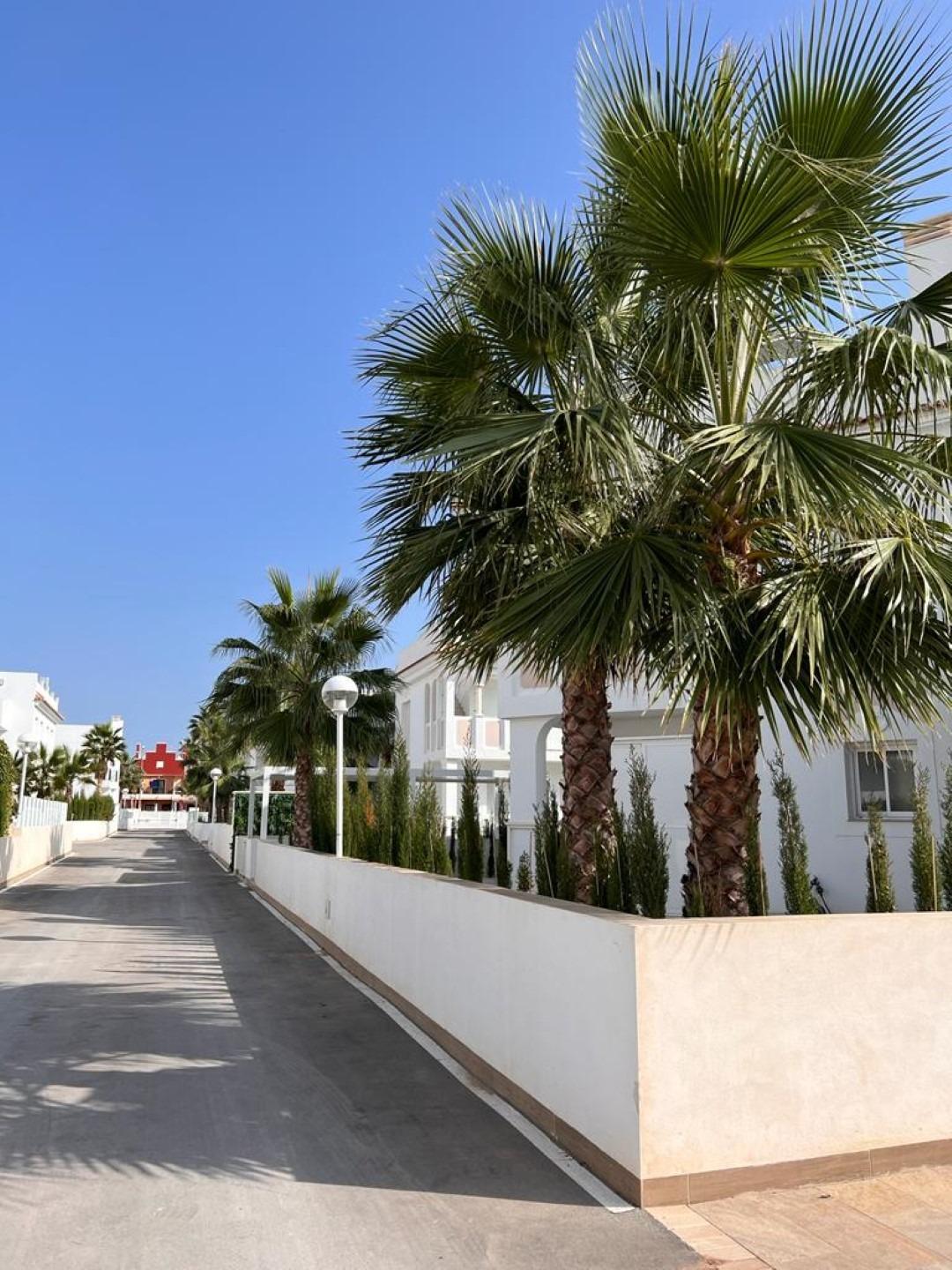 Bungalowi Ciudad Quesada, Alicante, Espanja 2 makuuhuonetta, 260 m2 No. 113215