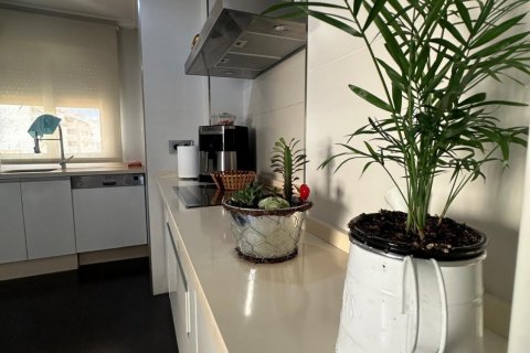 Apartament Torrevieja, Alicante, Hiszpania 4 sypialnie, 183 mkw. nr 113214 – zdjęcie 14