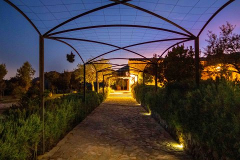 Finca īrēšanai Pollenca, Mallorca, Spānijā 5 istabas, 790 m2 Nr. 149496 - attēls 15