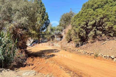 Tontti myytävänä Marbella, Malaga, Espanja , 4443 m2 No. 158038 - kuva 17