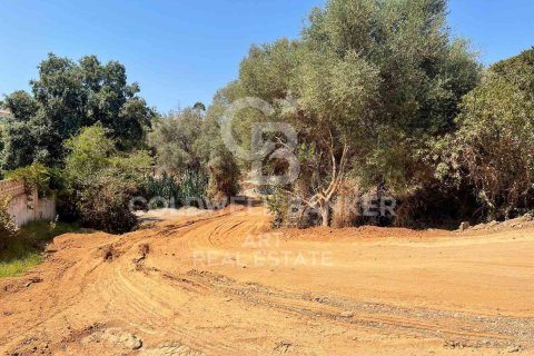 Tontti myytävänä Marbella, Malaga, Espanja , 4443 m2 No. 158038 - kuva 16