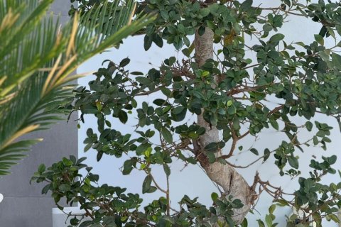 Villa pārdošanā La Florida, Alicante, Spānijā 3 istabas, 152 m2 Nr. 146967 - attēls 19