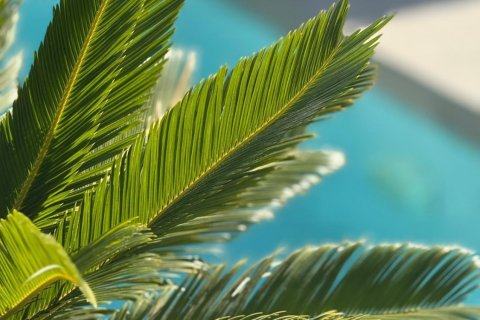 Villa pārdošanā La Florida, Alicante, Spānijā 3 istabas, 152 m2 Nr. 146967 - attēls 8