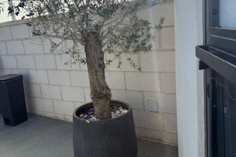 Villa pārdošanā La Florida, Alicante, Spānijā 3 istabas, 152 m2 Nr. 146967 - attēls 27