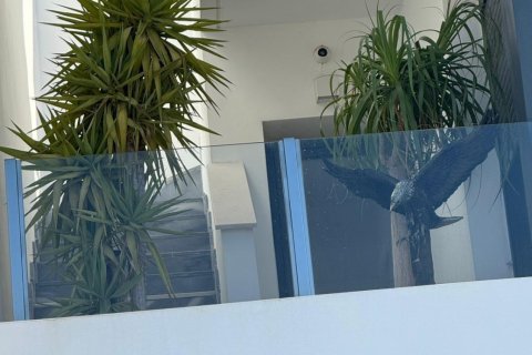 Villa pārdošanā La Florida, Alicante, Spānijā 3 istabas, 152 m2 Nr. 146967 - attēls 23