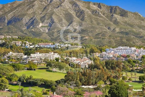 Apartment for rent in Marbella, Malaga, Spain 258 sq.m. No. 160463 - photo 9