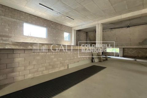 Propiedad comercial en alquiler en Principado De Andorra (Ninguna Poblacion Tiene C.P.), Lérida, España 310 m2 No. 160461 - foto 11