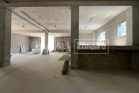 Propiedad comercial en alquiler en Principado De Andorra (Ninguna Poblacion Tiene C.P.), Lérida, España 310 m2 No. 160461 - foto 19