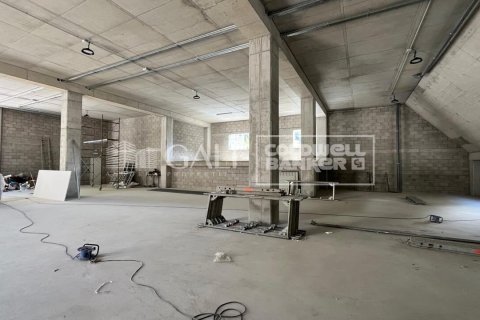 Propiedad comercial en alquiler en Principado De Andorra (Ninguna Poblacion Tiene C.P.), Lérida, España 310 m2 No. 160461 - foto 3