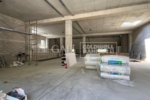 Propiedad comercial en alquiler en Principado De Andorra (Ninguna Poblacion Tiene C.P.), Lérida, España 310 m2 No. 160461 - foto 16