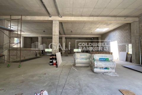 Propiedad comercial en alquiler en Principado De Andorra (Ninguna Poblacion Tiene C.P.), Lérida, España 310 m2 No. 160461 - foto 14