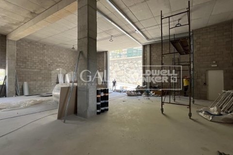 Propiedad comercial en alquiler en Principado De Andorra (Ninguna Poblacion Tiene C.P.), Lérida, España 310 m2 No. 160461 - foto 15