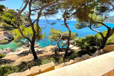 Apartment à vendre à Canyamel, Mallorca, Espagne, 1 chambre, 62 m2 No. 155035 - photo 2