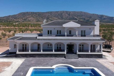Villa zum Verkauf in Pinoso, Alicante, Spanien 4 Schlafzimmer, 165 m2 Nr. 155098 - Foto 7