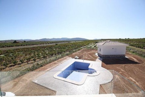 Villa zum Verkauf in Pinoso, Alicante, Spanien 3 Schlafzimmer, 120 m2 Nr. 155097 - Foto 13