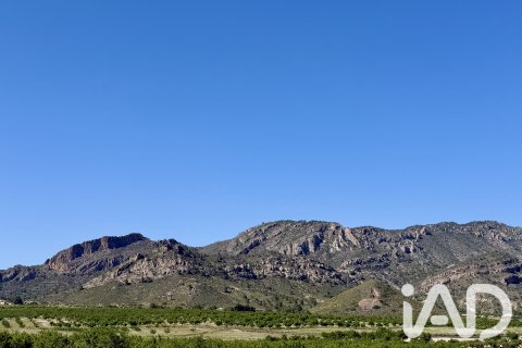 Parcela en venta en Ricote, Murcia, España 14000 m2 No. 188145 - foto 2