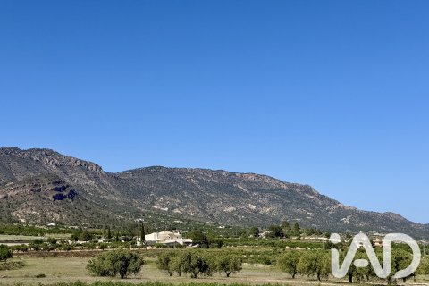 Parcela en venta en Ricote, Murcia, España 14000 m2 No. 188145 - foto 7